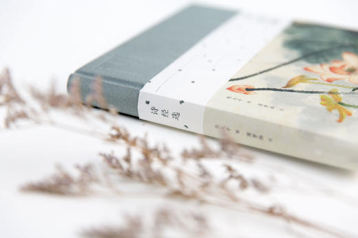 《诗经选：张大千插图珍藏版》全景地理出品诗画系列 商品图3