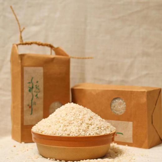 【2025新粮】离境·清米 500g 商品图4