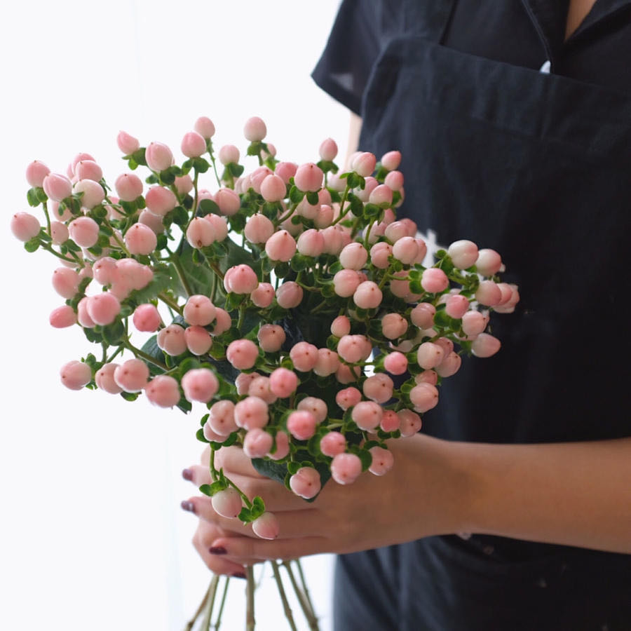 粉豆【要有多坚强，才敢念念不忘】简小姐精选稀有温柔浪漫相思粉豆 2件包邮 下单3天发出