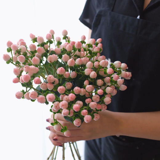 粉豆【要有多坚强，才敢念念不忘】简小姐精选稀有温柔浪漫相思粉豆 2件包邮 下单3天发出 商品图0