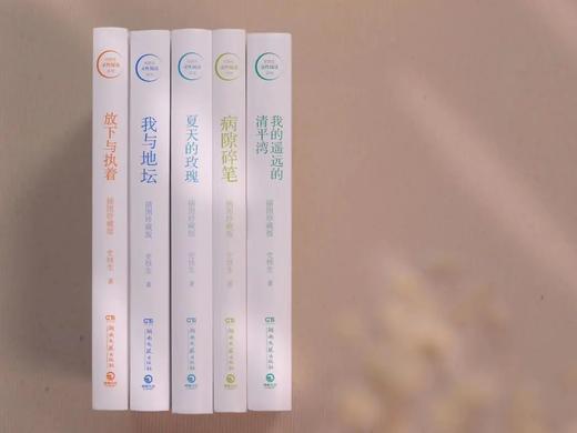 【莫言、余华、苏童赞不绝口】《史铁生文集》（吴冠中插图珍藏版，全5册）| 他的文字如一束光，照亮无数人~史铁生妻子亲自审定，散文·小说·诗歌，收录史铁生一生思想的精华 商品图3