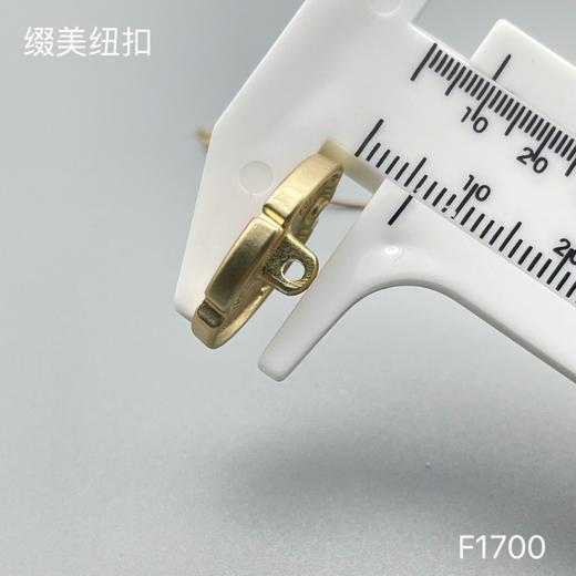 F1700 商品图5
