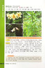 野菜图鉴  识别与开发利用【可开发票，下单时留开票信息及电子邮箱】 商品缩略图3