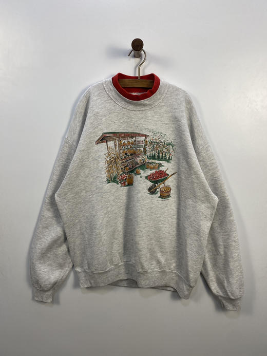 90年代 Vintage Gopher Sport 卫衣 _SLSS(XL) 商品图1