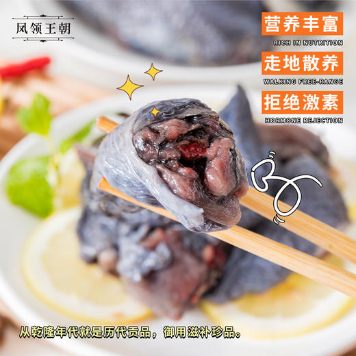 泰和原种乌鸡 商品图2