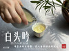 【独一份】白茶稀缺品珍藏，2015五彩贡眉7年了首次推出（50克） 商品缩略图9