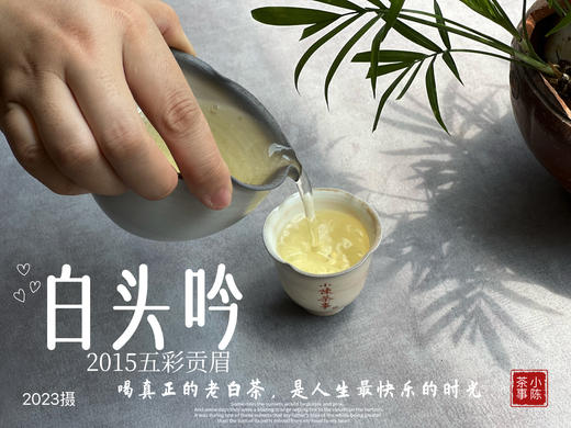 【独一份】白茶稀缺品珍藏，2015五彩贡眉7年了首次推出（50克） 商品图9