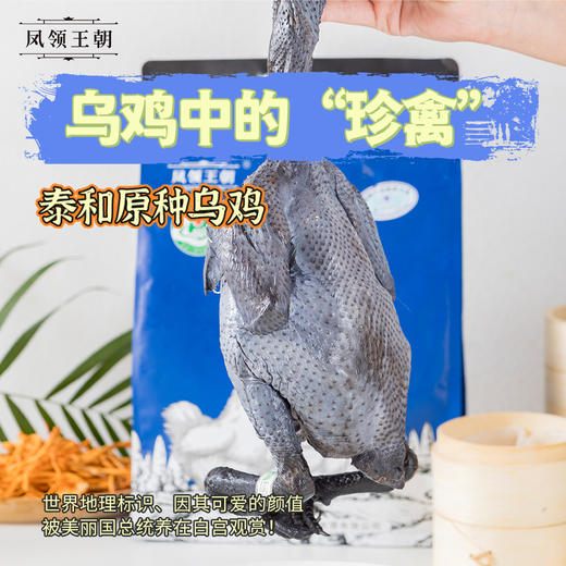 泰和原种乌鸡 商品图1
