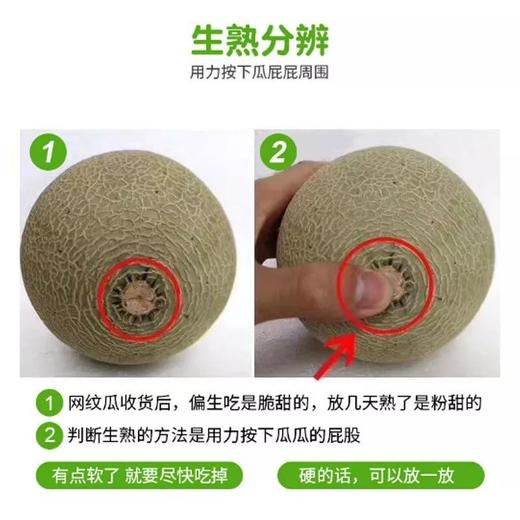 玫珑瓜 软食更甜蜜 商品图6