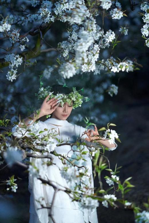 生如夏花连衣裙 杨丽萍老师同款 | 现货加急发 商品图4