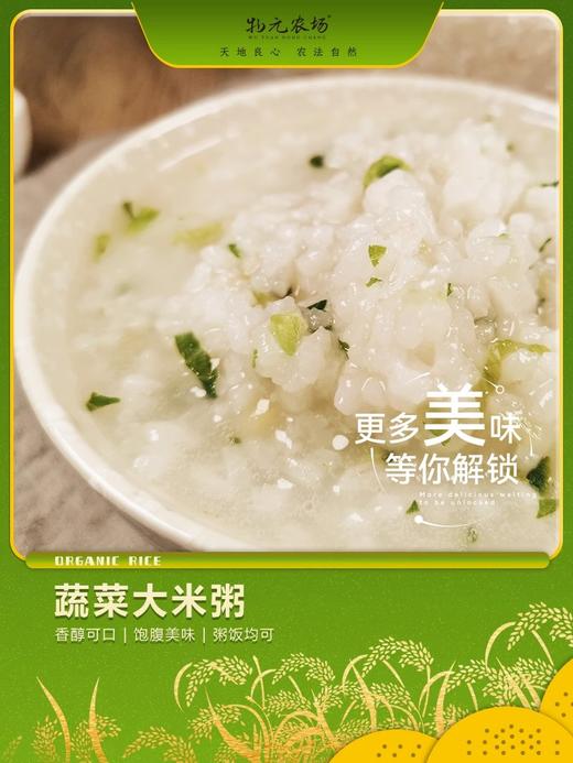 物元农场当季鲜米有机寒地香大米5斤袋装东北长粒粥饭粳米现磨 商品图4