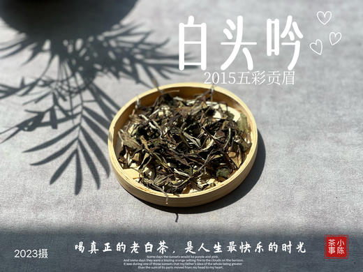 【独一份】白茶稀缺品珍藏，2015五彩贡眉7年了首次推出（50克） 商品图3