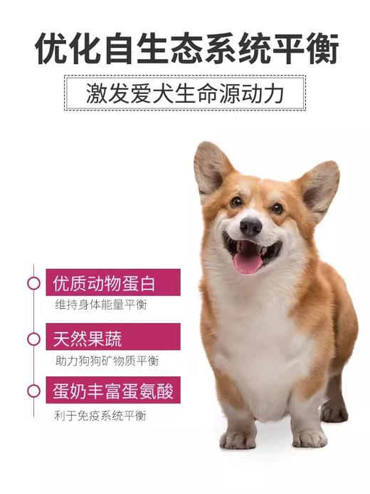 麦富迪狗粮营养森林小型犬成犬泰迪柯基比熊博美通用型幼犬粮10kg 商品图4