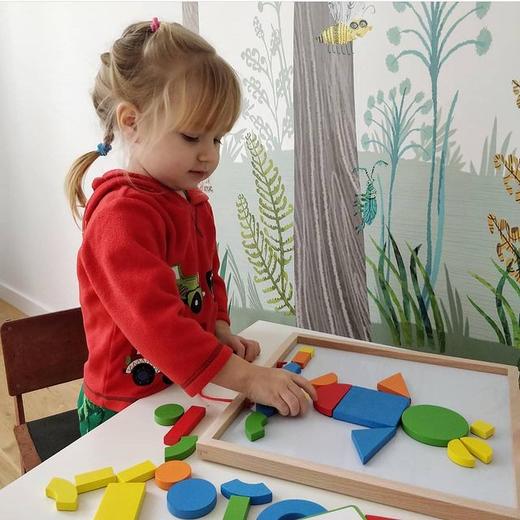 djeco儿童磁力磁性几何图形拼图巧板拼板智力益智玩具木制3-4-5岁 商品图2