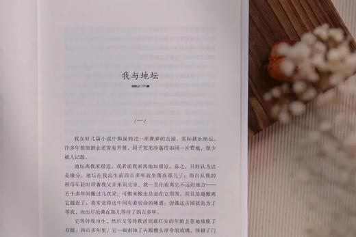 【莫言、余华、苏童赞不绝口】《史铁生文集》（吴冠中插图珍藏版，全5册）| 他的文字如一束光，照亮无数人~史铁生妻子亲自审定，散文·小说·诗歌，收录史铁生一生思想的精华 商品图2