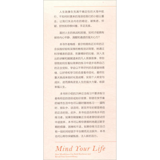 幸福心力 在正念中活出通透人生 梅格·索尔特 著 励志与成功 商品图1