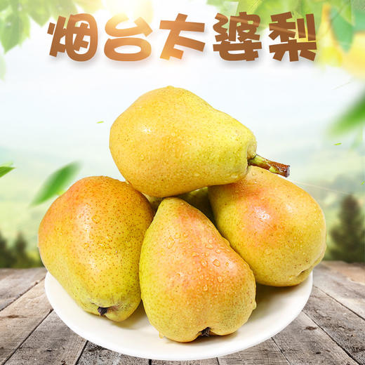 【秒杀】山东烟台太婆梨3斤  商品图0