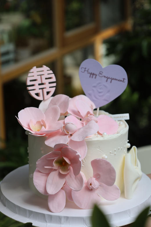 粉色蝴蝶兰 商品图5