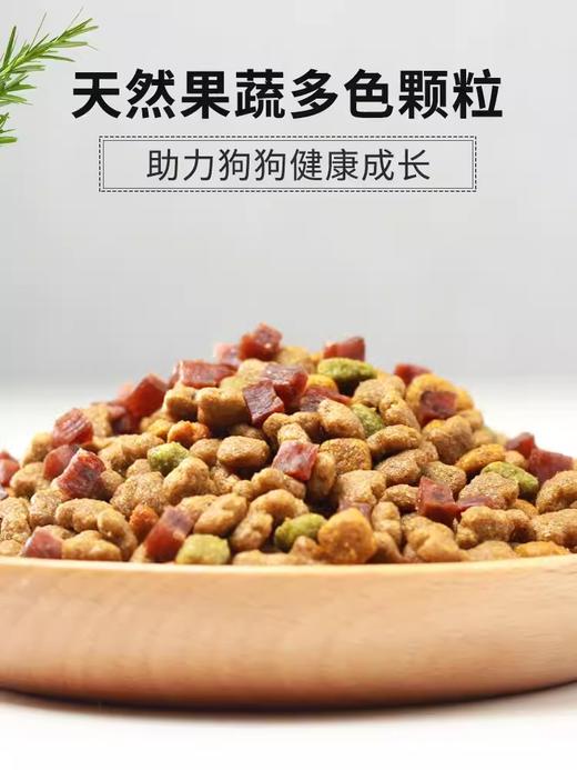 麦富迪狗粮营养森林小型犬成犬泰迪柯基比熊博美通用型幼犬粮10kg 商品图5