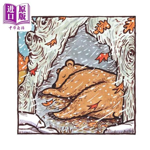 【中商原版】熊的故事 Kevin Henkes Old Bear 英文原版 儿童绘本 动物故事图画书 精装绘本 进口图书儿童读物 商品图1