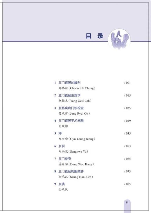 肛肠外科实践 商品图1