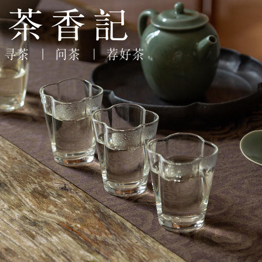 茶香记 困鹿山银针022 云南白茶 大叶种单芽 香气馥郁 清甜鲜爽 高性价比 商品图5