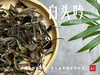 【独一份】白茶稀缺品珍藏，2015五彩贡眉7年了首次推出（50克） 商品缩略图0