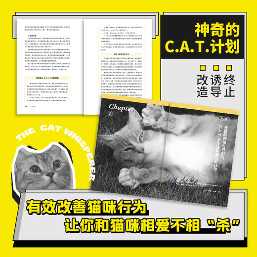 家有恶猫 猫咪乖不乖,主人说了算 商品图3