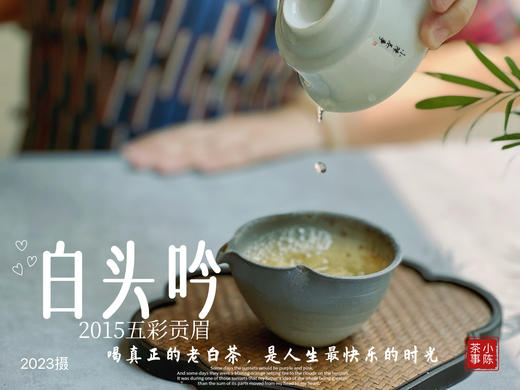 【独一份】白茶稀缺品珍藏，2015五彩贡眉7年了首次推出（50克） 商品图7