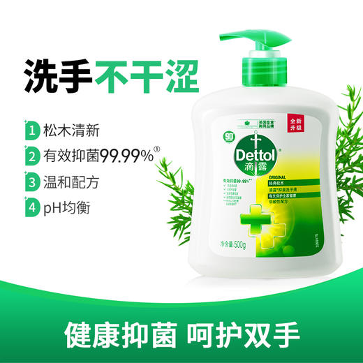 滴露抑菌洗手液经典松木500克 商品图3