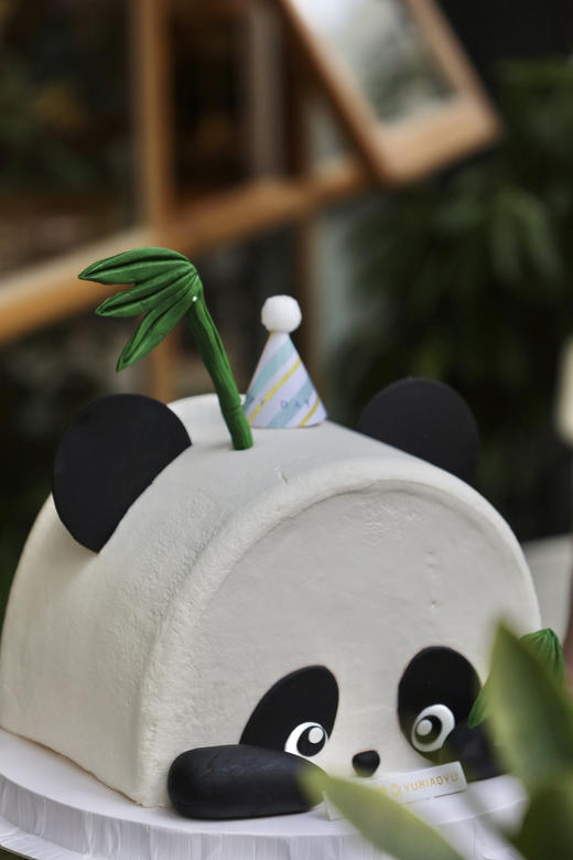 熊猫竹子 商品图11