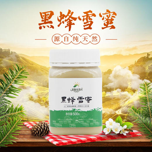 【新品】黑蜂雪蜜500g 商品图0