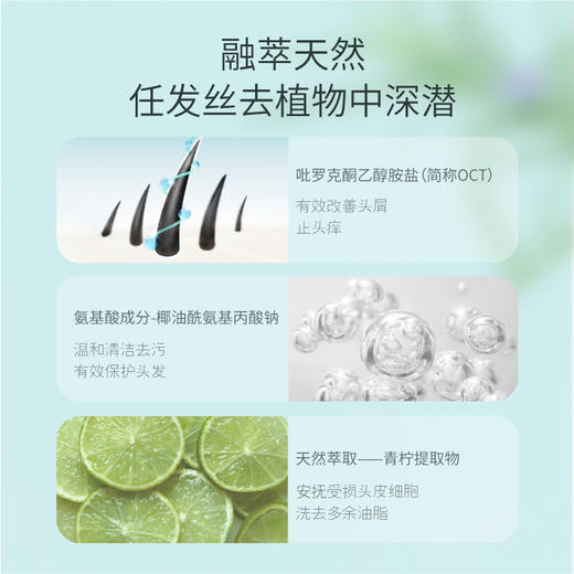 【官方直营】【老客内购专属】【入会有优惠】半亩花田清洁去屑洗发乳400g 洗发水控油蓬松改善毛躁 商品图3