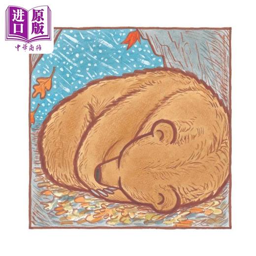 【中商原版】熊的故事 Kevin Henkes Old Bear 英文原版 儿童绘本 动物故事图画书 精装绘本 进口图书儿童读物 商品图2