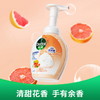滴露泡沫抑菌洗手液西柚香型250ml 商品缩略图5