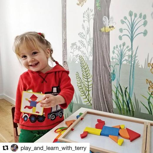 djeco儿童磁力磁性几何图形拼图巧板拼板智力益智玩具木制3-4-5岁 商品图3