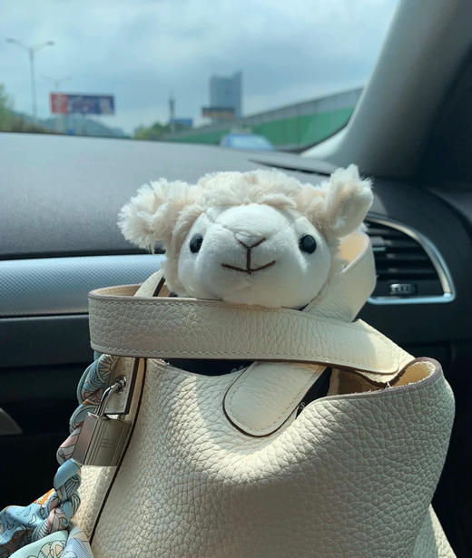 高定蜡线菜篮子奶昔白银扣 商品图4