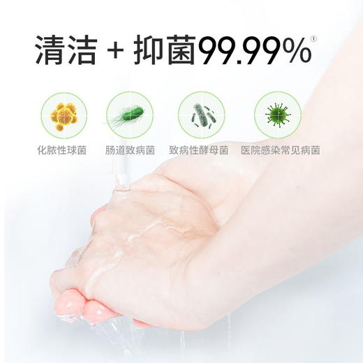 滴露泡沫抑菌洗手液青柠香型250ml 商品图2