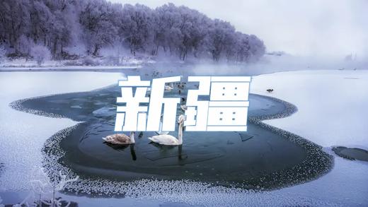 【颂•雪 新疆】冰雪新疆赛里木湖蓝冰，天鹅泉、叼羊、巩乃斯仙境行摄8天 商品图0