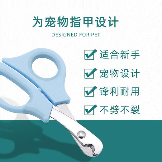 家用宠物指甲剪猫咪半月型指甲钳 亚马逊爆款 中小型犬用指甲刀 新手可用[骡马] 商品图1
