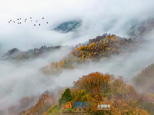 10.26/10.28确定出发【四川光雾山】五彩梦境光雾山红叶秋色5天摄影 商品图5