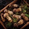 香格里拉直采空运松茸（5-7cm)500g 商品缩略图1