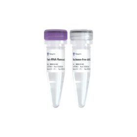 FastSelect rRNA Kit (Human)