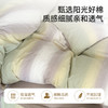 【品牌直发】加倍生活 水洗色织全棉四件套 无题系列 6色可选yc0205010 商品缩略图2