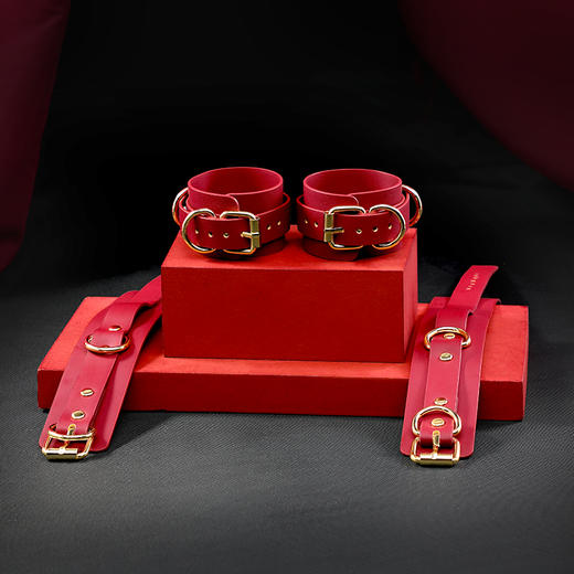 【SM-ebde】 SM电击束缚套装 皮革套装 商品图2