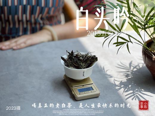 【独一份】白茶稀缺品珍藏，2015五彩贡眉7年了首次推出（50克） 商品图4