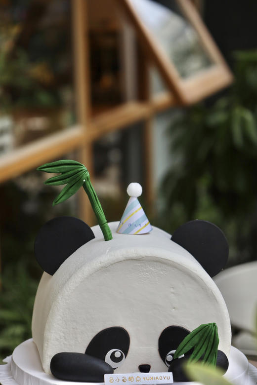 熊猫竹子 商品图3