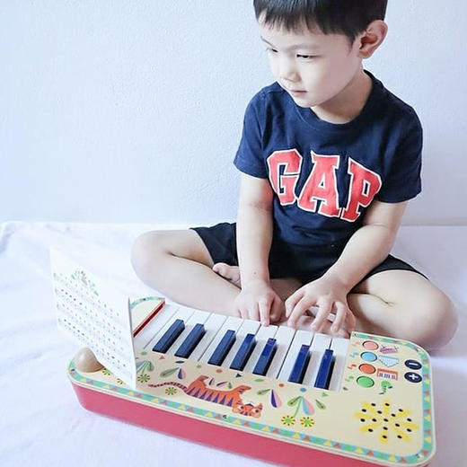 DJECO曼波儿童幼童电子小钢琴（2款） 商品图13
