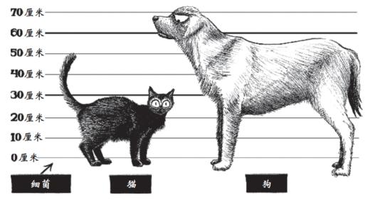 《数学的雨伞下：理解世界的乐趣》 商品图10