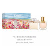Chloe/蔻依香水套盒  nomade小猪包EDP20ml+肉丝带EDP20ml 女士浓香水套盒 【CDF】 商品缩略图5